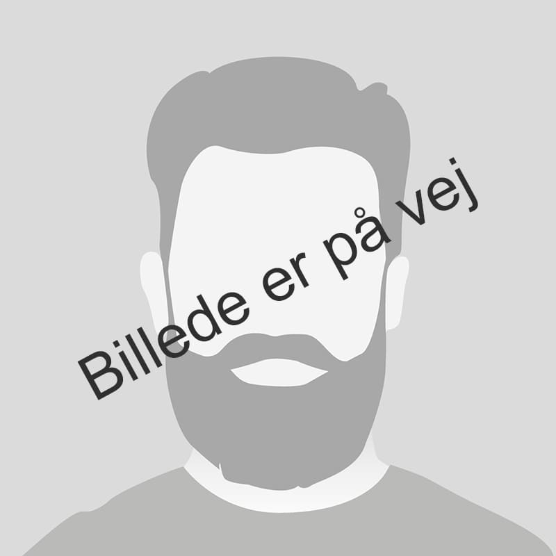 Revisor